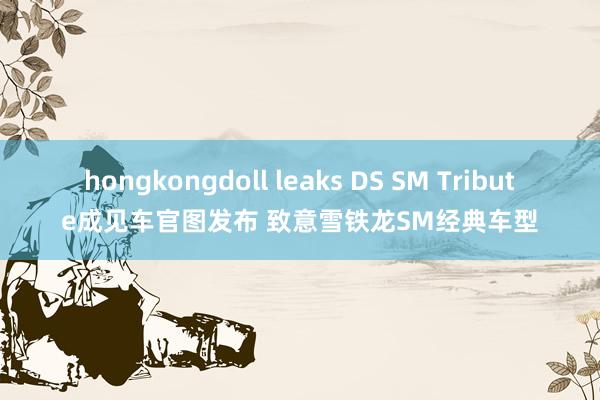 hongkongdoll leaks DS SM Tribute成见车官图发布 致意雪铁龙SM经典车型