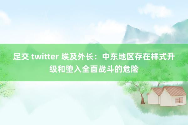 足交 twitter 埃及外长：中东地区存在样式升级和堕入全面战斗的危险