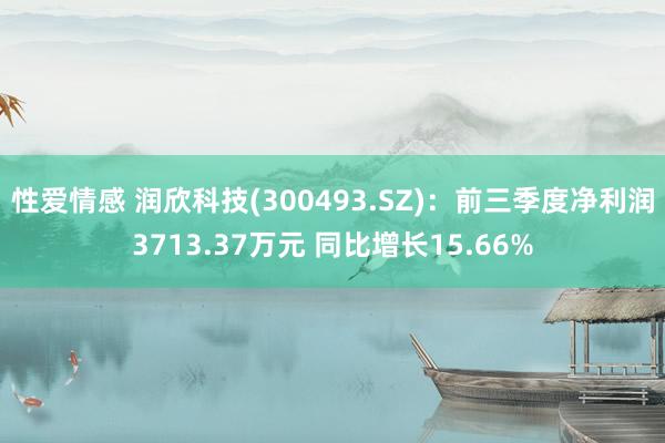 性爱情感 润欣科技(300493.SZ)：前三季度净利润3713.37万元 同比增长15.66%