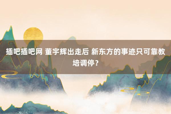 插吧插吧网 董宇辉出走后 新东方的事迹只可靠教培调停？