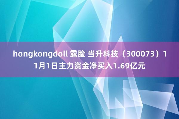 hongkongdoll 露脸 当升科技（300073）11月1日主力资金净买入1.69亿元