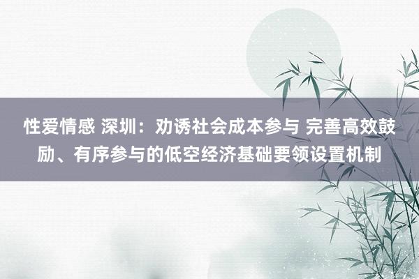 性爱情感 深圳：劝诱社会成本参与 完善高效鼓励、有序参与的低空经济基础要领设置机制