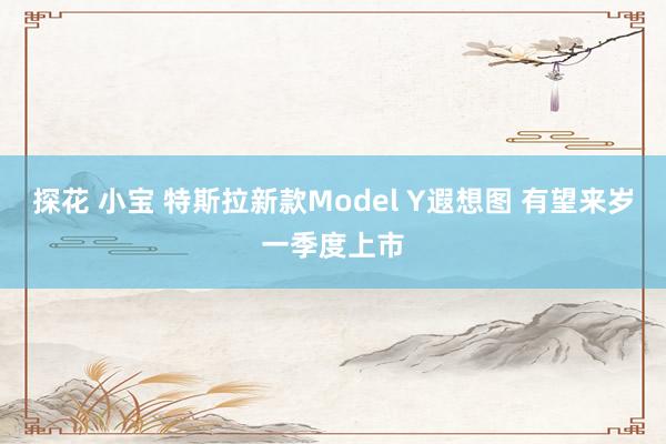 探花 小宝 特斯拉新款Model Y遐想图 有望来岁一季度上市