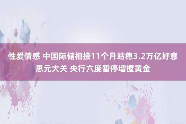 性爱情感 中国际储相接11个月站稳3.2万亿好意思元大关 央行六度暂停增握黄金