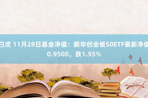 白虎 11月28日基金净值：鹏华创业板50ETF最新净值0.9508，跌1.95%