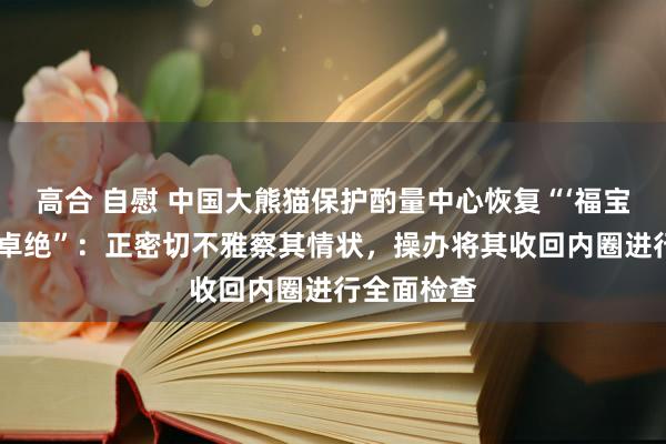 高合 自慰 中国大熊猫保护酌量中心恢复“‘福宝’出现情状卓绝”：正密切不雅察其情状，操办将其收回内圈进行全面检查