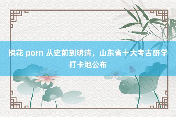 探花 porn 从史前到明清，山东省十大考古研学打卡地公布