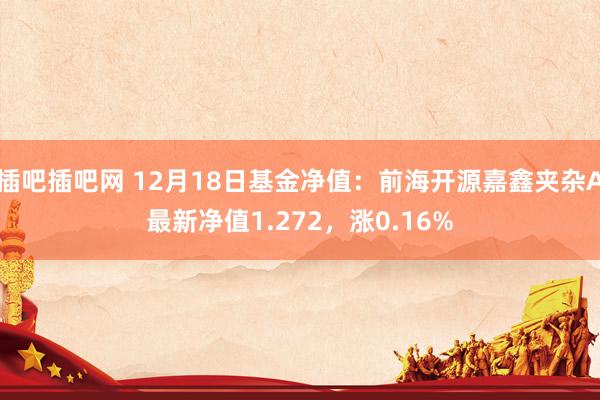 插吧插吧网 12月18日基金净值：前海开源嘉鑫夹杂A最新净值1.272，涨0.16%