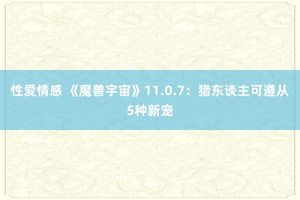 性爱情感 《魔兽宇宙》11.0.7：猎东谈主可遵从5种新宠