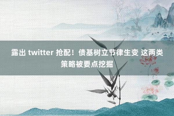 露出 twitter 抢配！债基树立节律生变 这两类策略被要点挖掘