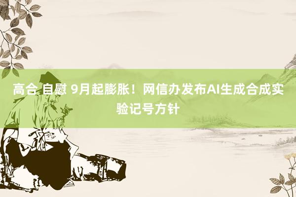 高合 自慰 9月起膨胀！网信办发布AI生成合成实验记号方针