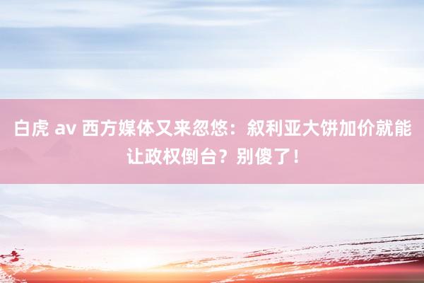 白虎 av 西方媒体又来忽悠：叙利亚大饼加价就能让政权倒台？别傻了！