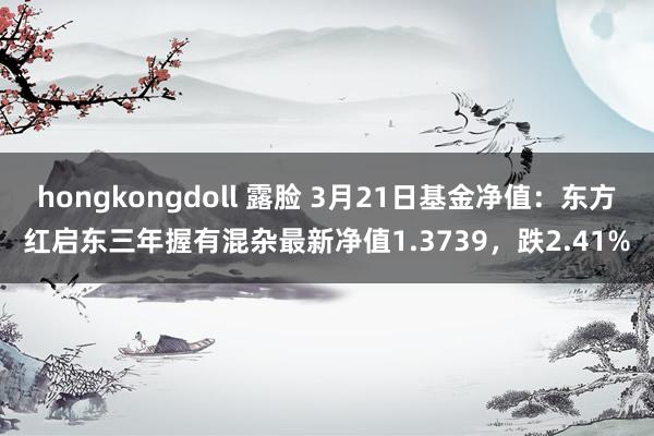 hongkongdoll 露脸 3月21日基金净值：东方红启东三年握有混杂最新净值1.3739，跌2.41%