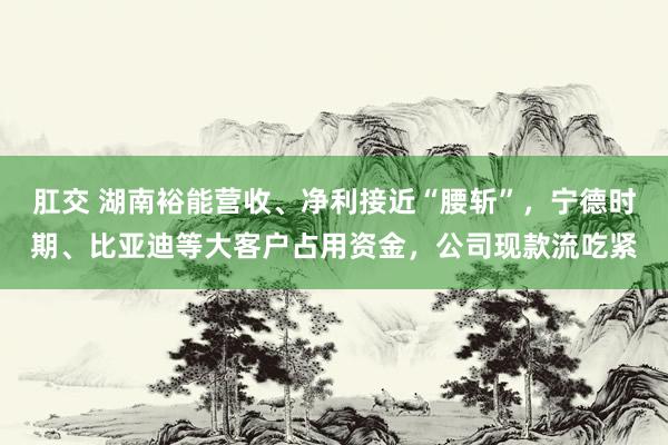 肛交 湖南裕能营收、净利接近“腰斩”，宁德时期、比亚迪等大客户占用资金，公司现款流吃紧