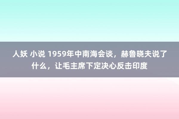 人妖 小说 1959年中南海会谈，赫鲁晓夫说了什么，让毛主席下定决心反击印度