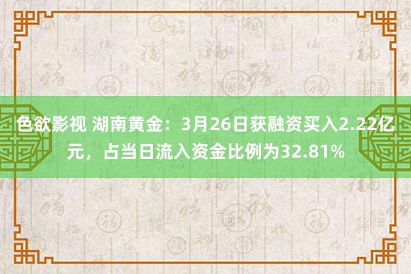 色欲影视 湖南黄金：3月26日获融资买入2.22亿元，占当日流入资金比例为32.81%