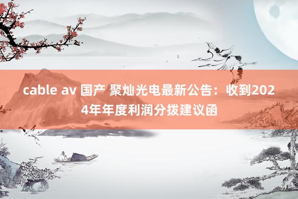 cable av 国产 聚灿光电最新公告：收到2024年年度利润分拨建议函
