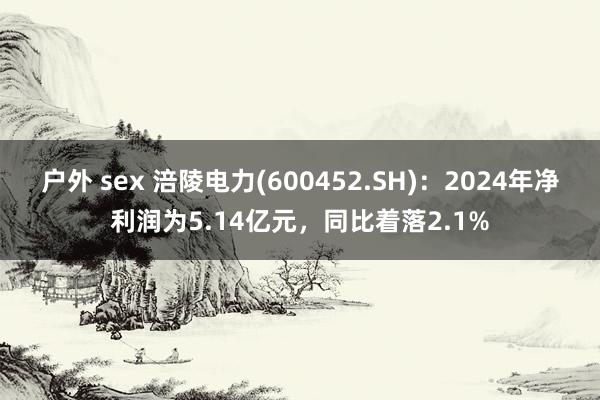 户外 sex 涪陵电力(600452.SH)：2024年净利润为5.14亿元，同比着落2.1%