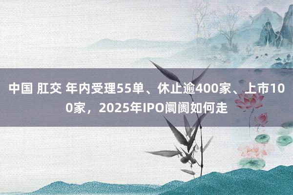 中国 肛交 年内受理55单、休止逾400家、上市100家，2025年IPO阛阓如何走