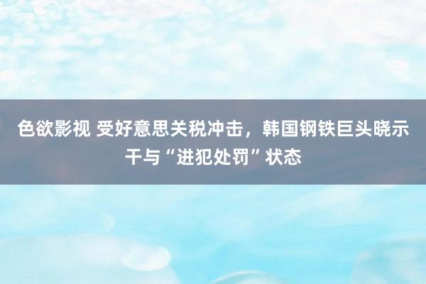 色欲影视 受好意思关税冲击，韩国钢铁巨头晓示干与“进犯处罚”状态