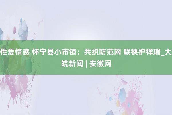 性爱情感 怀宁县小市镇：共织防范网 联袂护祥瑞_大皖新闻 | 安徽网