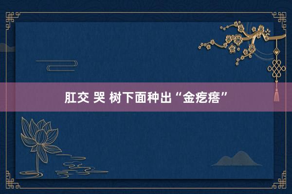 肛交 哭 树下面种出“金疙瘩”